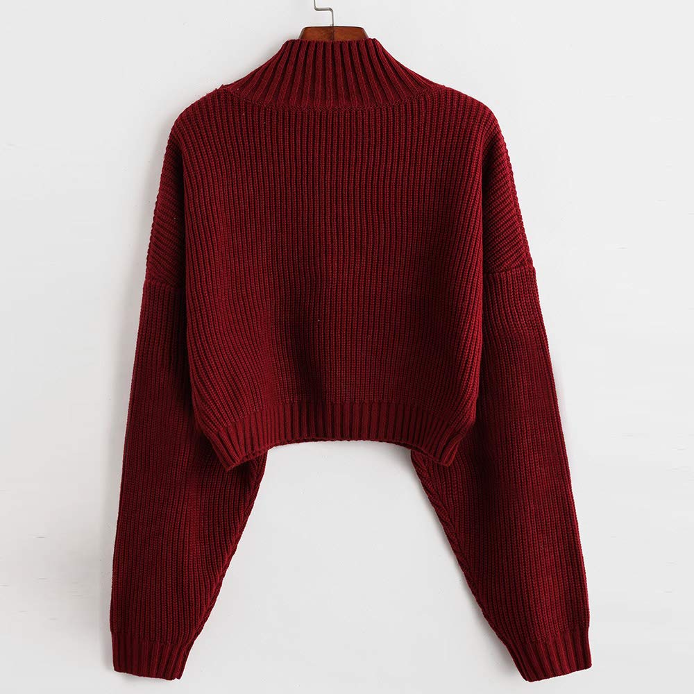 ZAFUL Maglione Maniche Lunga Pullover Sciolto Donna Tinta Unita One Size