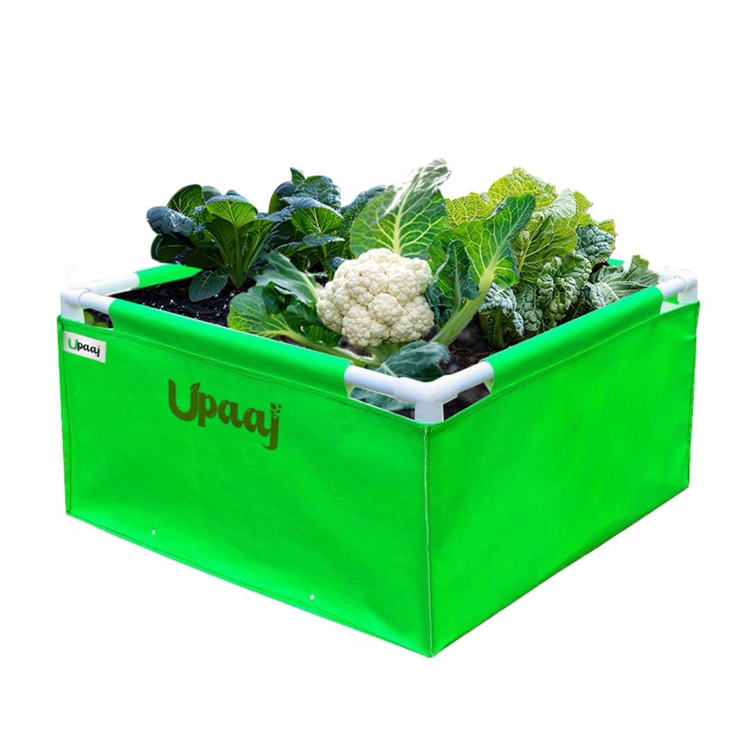 UPAAJ Premium 2"x1.5"x1" Rectangle Grow Bag with PVC Pipes | Growbags & Plant Bags | Plant Bags for Home Garden | Garden Bags for Plants | Growing Bags for Gardening | Plant Grow Bag Pack of 1 (B0D6RT6L1T) Amazon Price History, Amazon Price Tracker