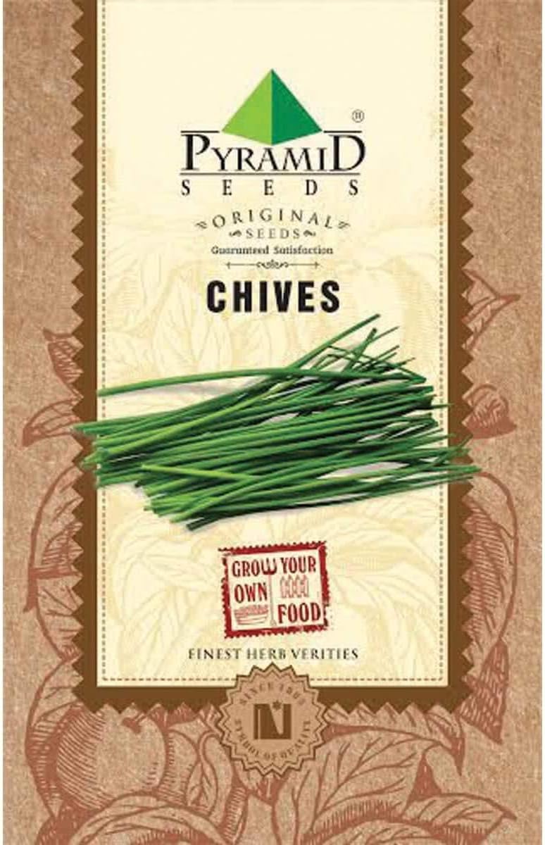Pyramid Seeds Chives Herb Seeds (500 Seeds)