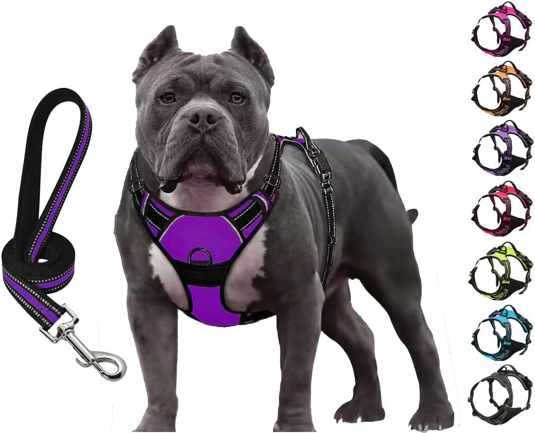 SLZZ No Pull Dog Harness with Leash Set Heavy Duty Reflective Soft