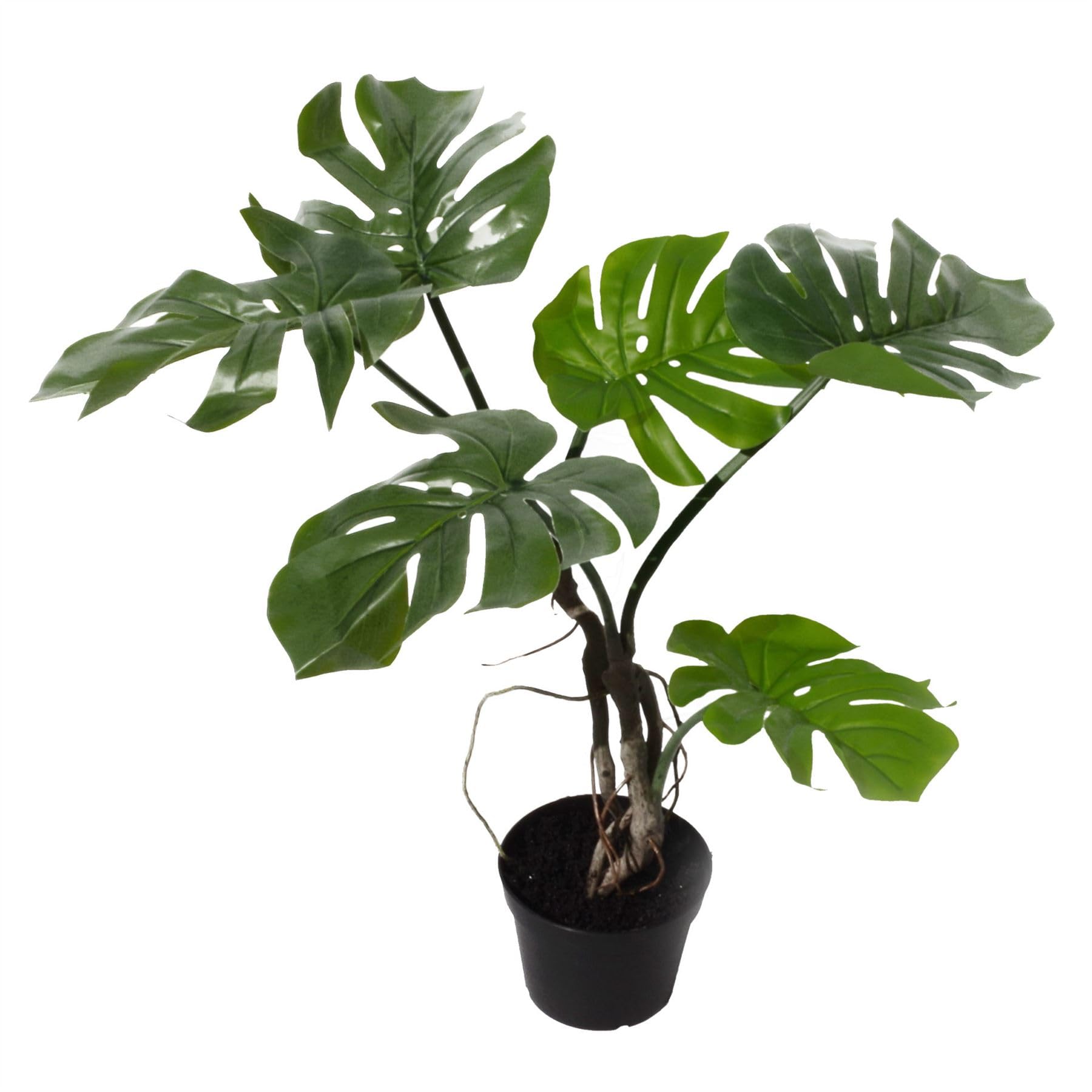 Botanik Premium Artificial Monstera Plant