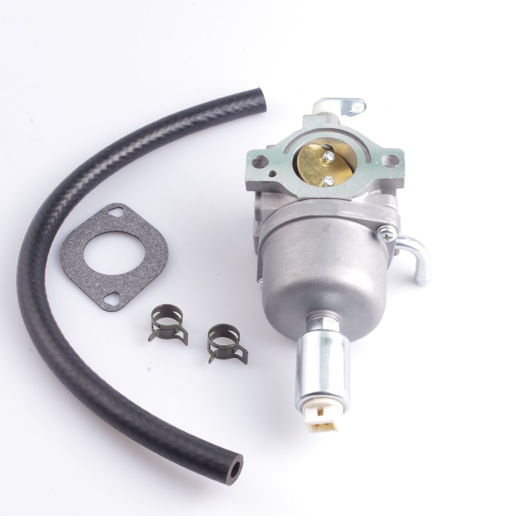 Amazon.com: Dosens 591736 Carburetor Compatible for Briggs 