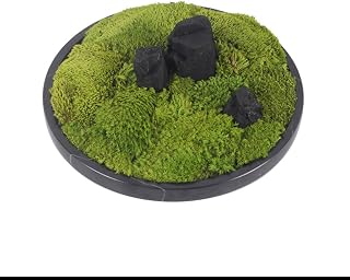 XXXDXDP Greenery Ornaments White Hair Moss Moss Hotel Club Villa Disc Carousel Wigwam Bonsai Landscape