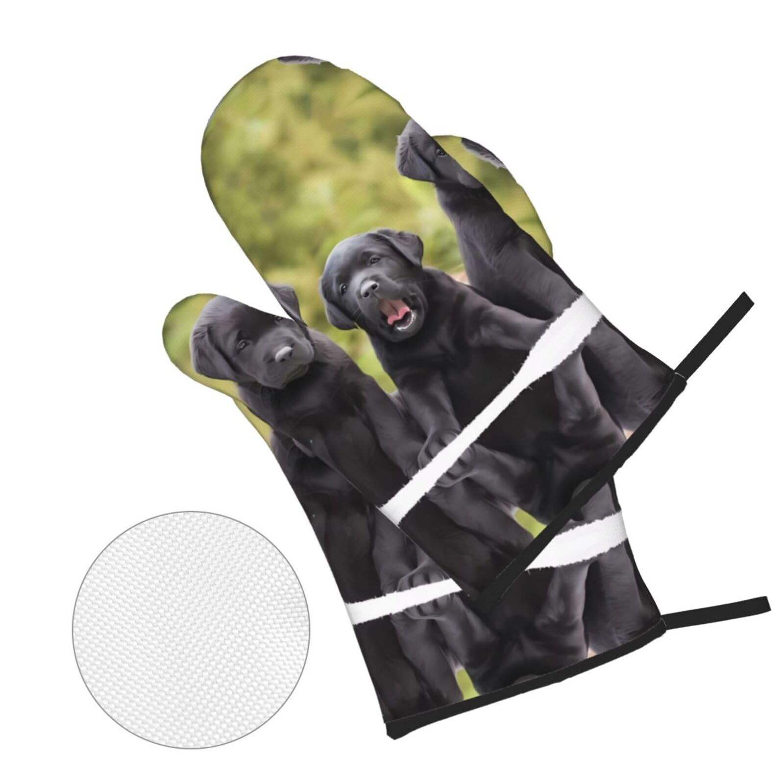 Cane Labrador, presine e guanti da forno, set da 4 pezzi