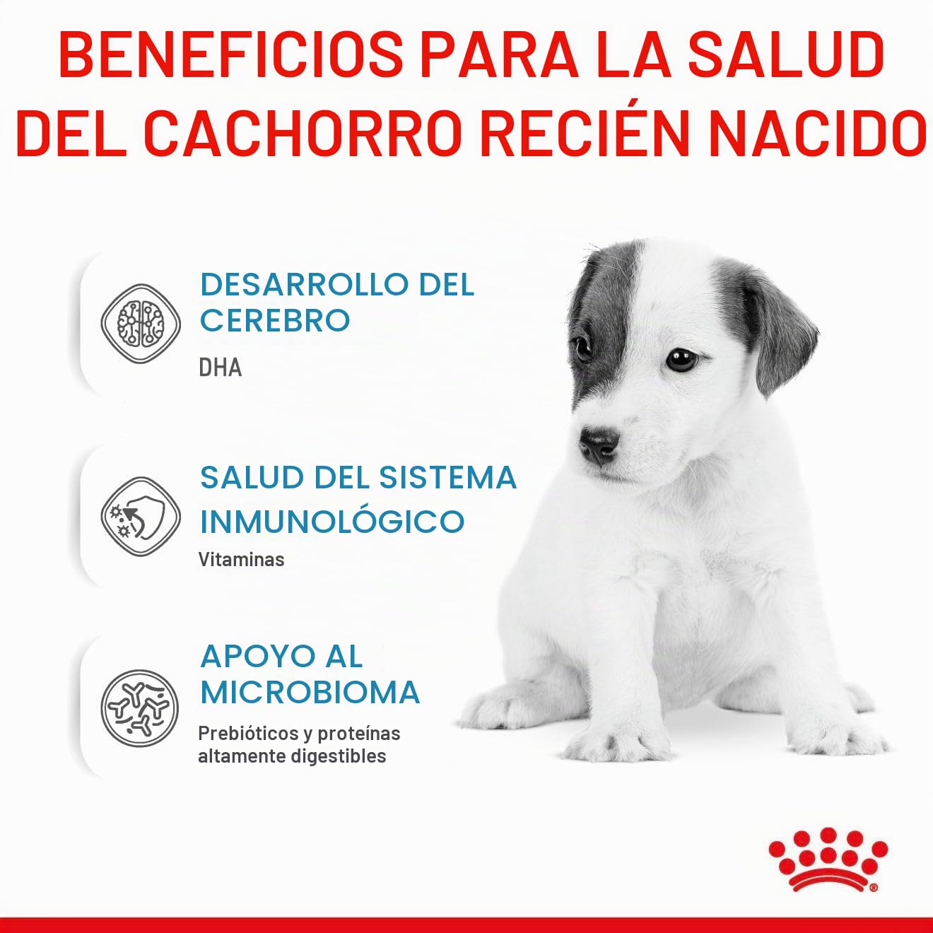 Royal Canin Comida para perros Babydog Milk 2 Kg