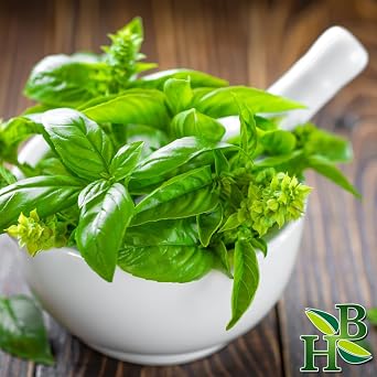 Herb To Body Basil Leaf C/S - Ocimum Basilicum, Finely Ground Cut & Sifted Basil Leaves for Cooking, Seasoning & Herbal Preparations, Resealable Pouch 4 oz