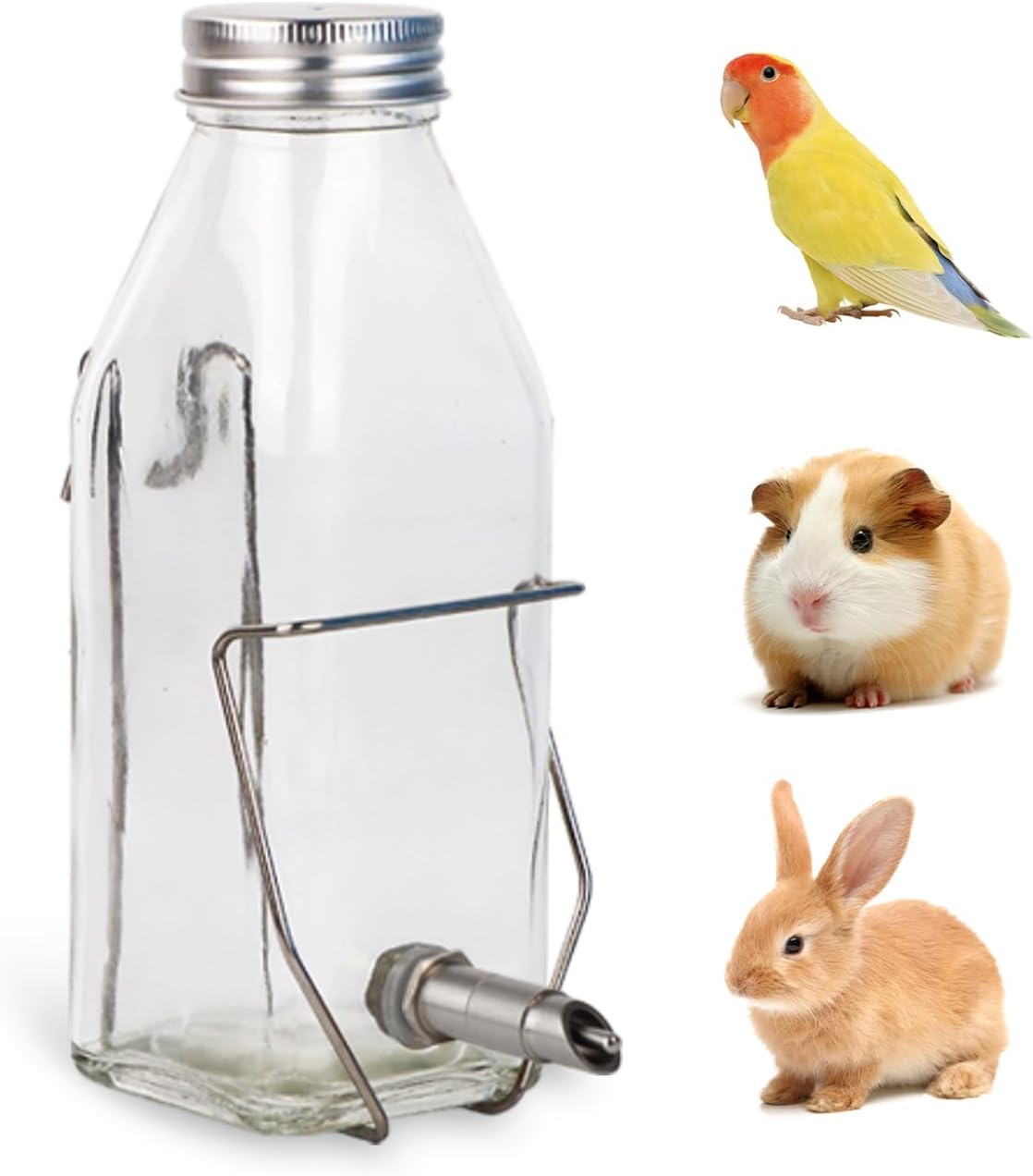 Guinea Pig & Rabbit Water Bottle, 350ml No-Drip Chew-Proof Glass Dispenser with Stainless Steel Nozzle for Hamster, Squirrel, Bird, Guinea Pig Cage (350-H)