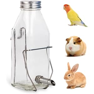 Guinea Pig & Rabbit Water Bottle, 350ml No-Drip Chew-Proof Glass Dispenser with Stainless Steel Nozzle for Hamster, Squirrel, Bird, Guinea Pig Cage (350-H)