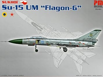 PM Model Su-15 UM Prevention Aircraft Plastic Model