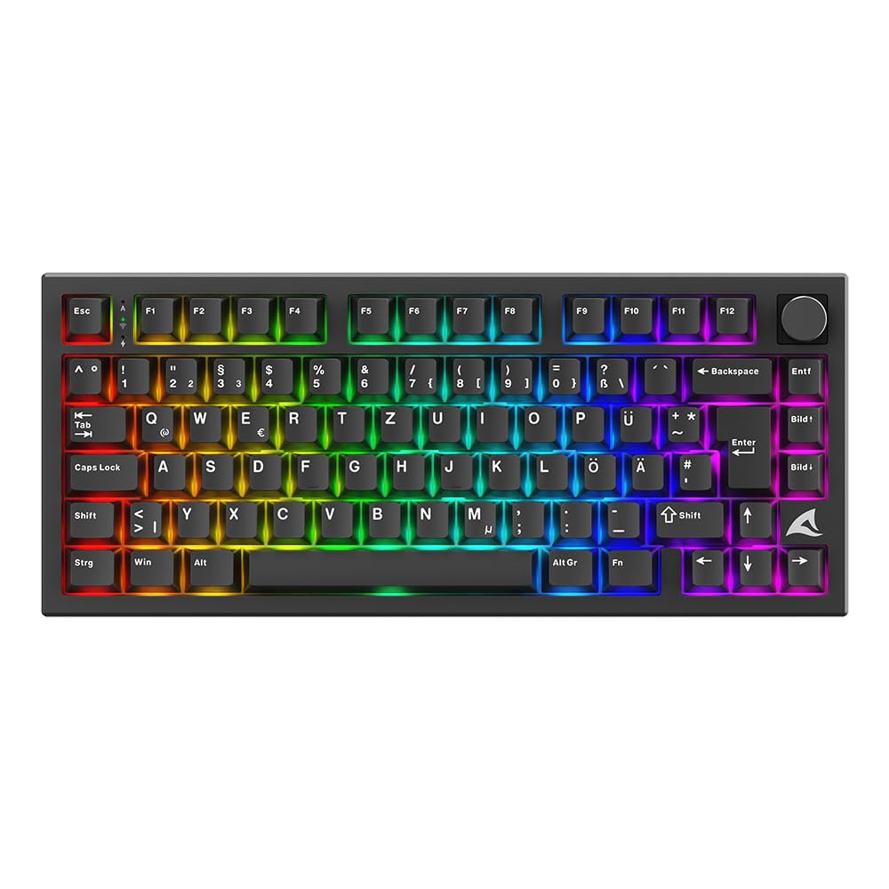 Sharkoon Skiller SGK55W, Kabellose Gaming Tastatur