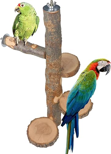 Miniatura 4 de Chinchilla - Plataforma giratoria de madera colgante grande  Plataforma de pie de madera de fruta natural para animales pequeños  Plataforma