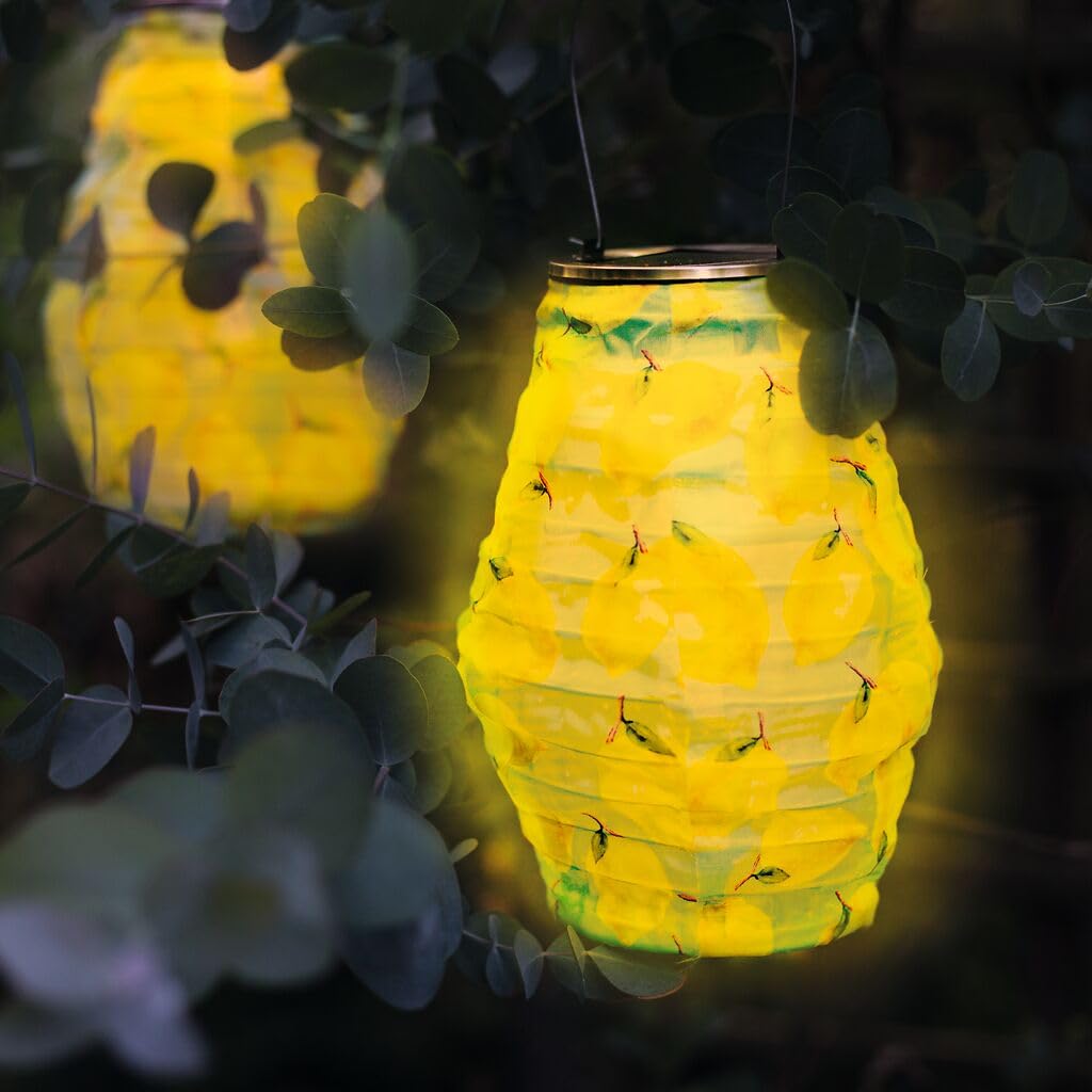 Tuinstekers met ledverlichting aanbieding bij Action