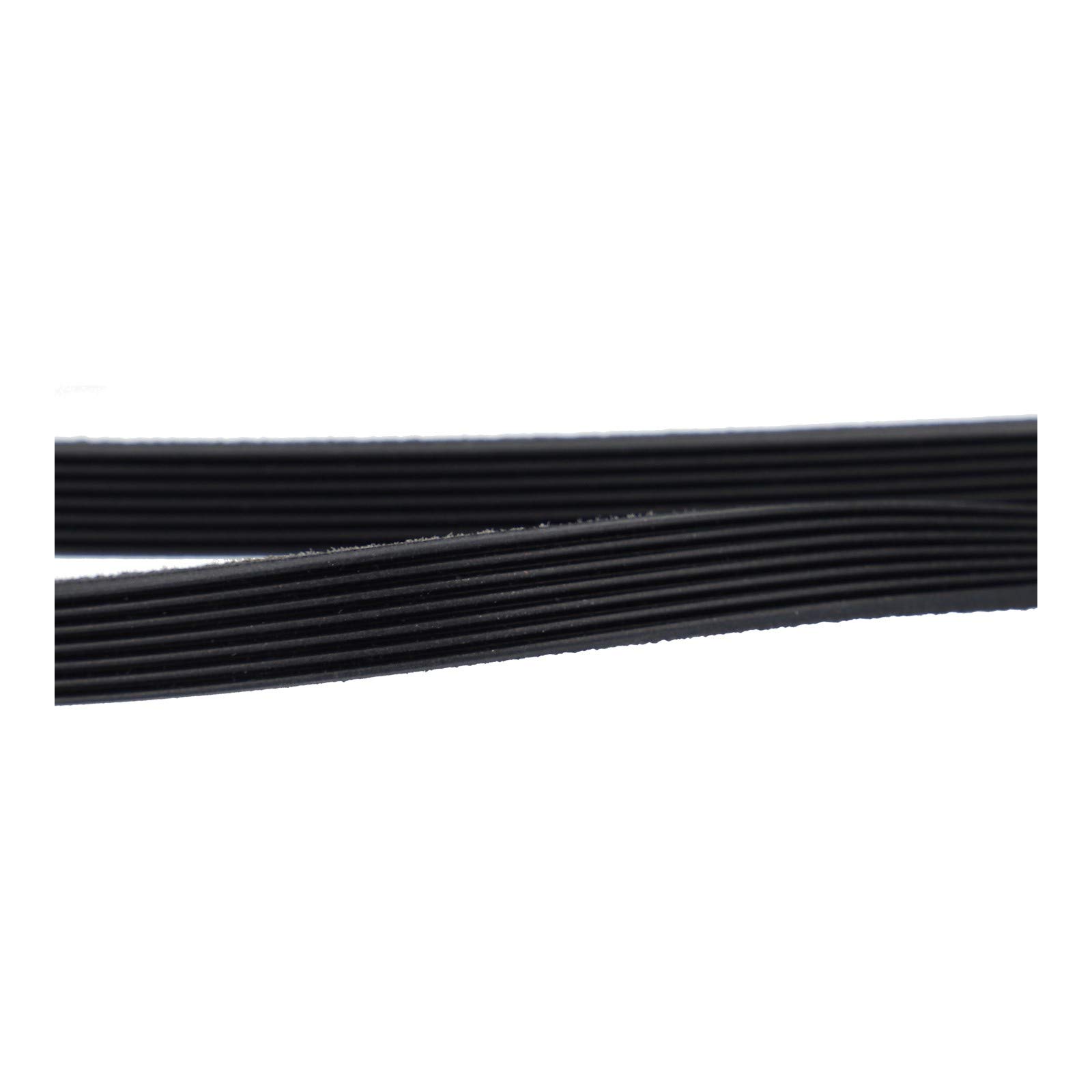 Cinghia Di Trasmissione 2010 H7 Per Asciugatrice 480112101469 - Foto 8