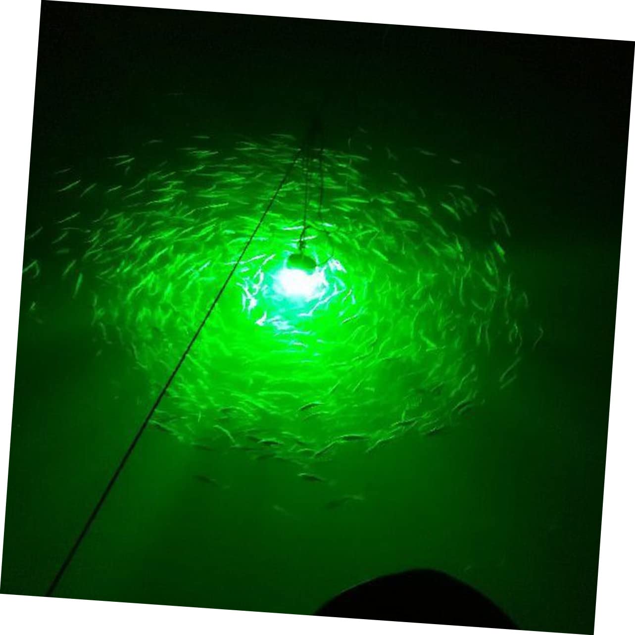 Outanaya 24V Fishing Light LEDs Underwater Lamp for Luring Fish Prawns for Boats Kayaks Canoes Docks Fish Light Green