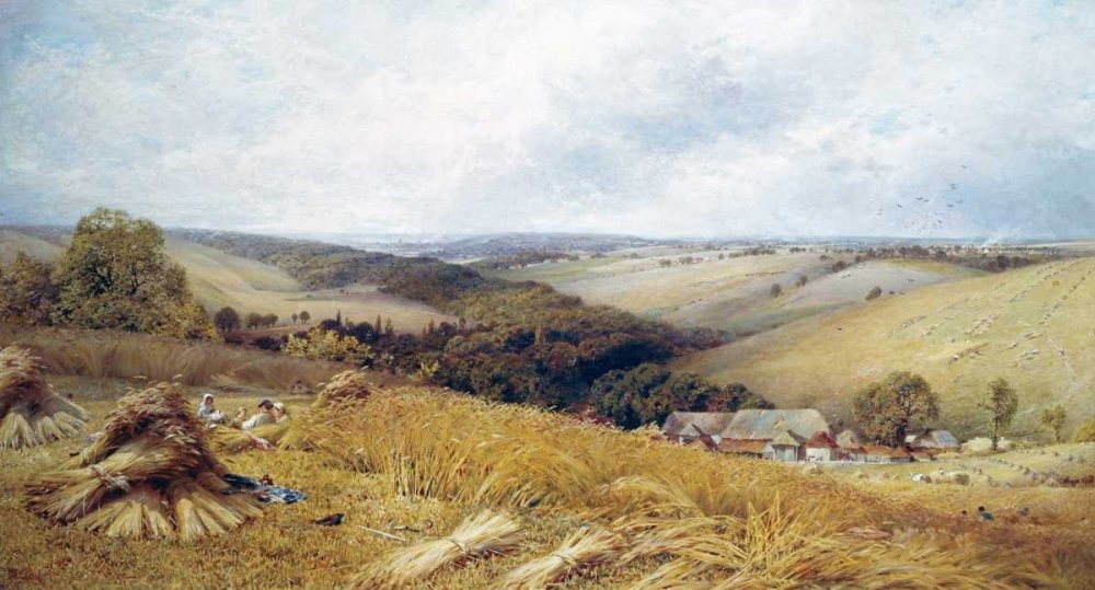 Feeling at home KUNSTDRUCK auf MATTE PAPIER 220gr Ein heißer Tag im Erntefeld Gosling William W. - Landschaft horizontal Poster Landschaften und Landschaftsland Bild auf Papier cm_53_X_101