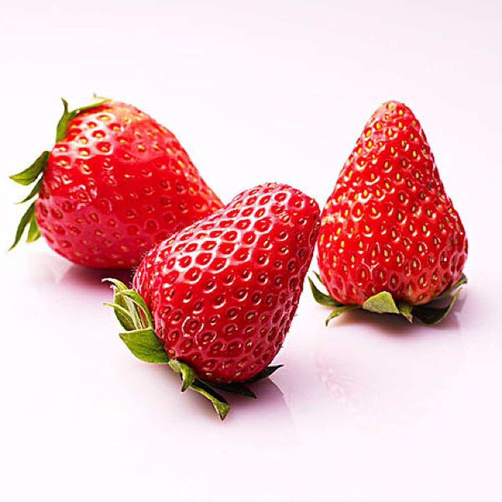 200Stück Erdbeersamen Heirloom Bio Obstsamen für Hoffarmen die eine weithin anerkannte Sorte pflanzen wartungsarm