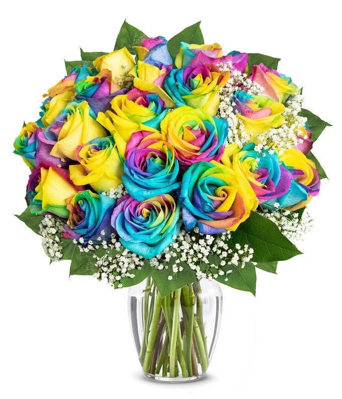 From You Flowers - Two Dozen Wild Rainbow Roses with Glass Vase | Fresh Flower Bouquets for Mother's Day, Birthday, Anniversary, Get Well or Celebration