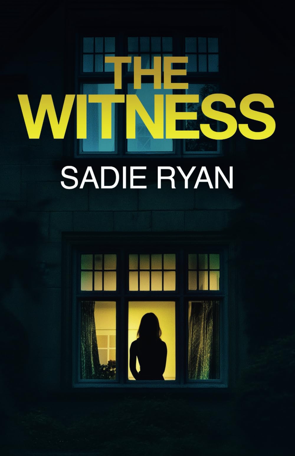 The Witness: A totally addictive psychological thriller with a shocking final twist