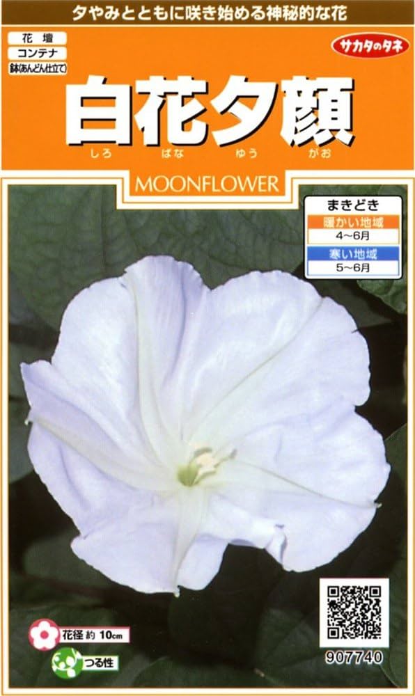 Amazon | サカタのタネ 実咲花7740 白花夕顔 00907740 | 花