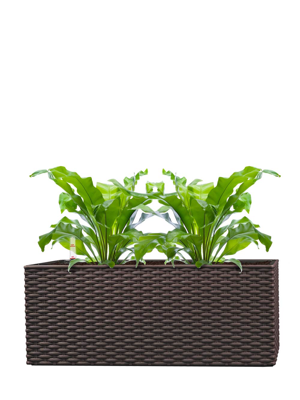 Pflanzwerk® ÖKOSYSTEM donica na rośliny TUB – doniczki z systemem nawadniania – 20 x 50 x 20 cm rattan brązowy *donica na kwiaty do wewnątrz i na zewnątrz * * * ochrona przed promieniowaniem UV * * markowa jakość