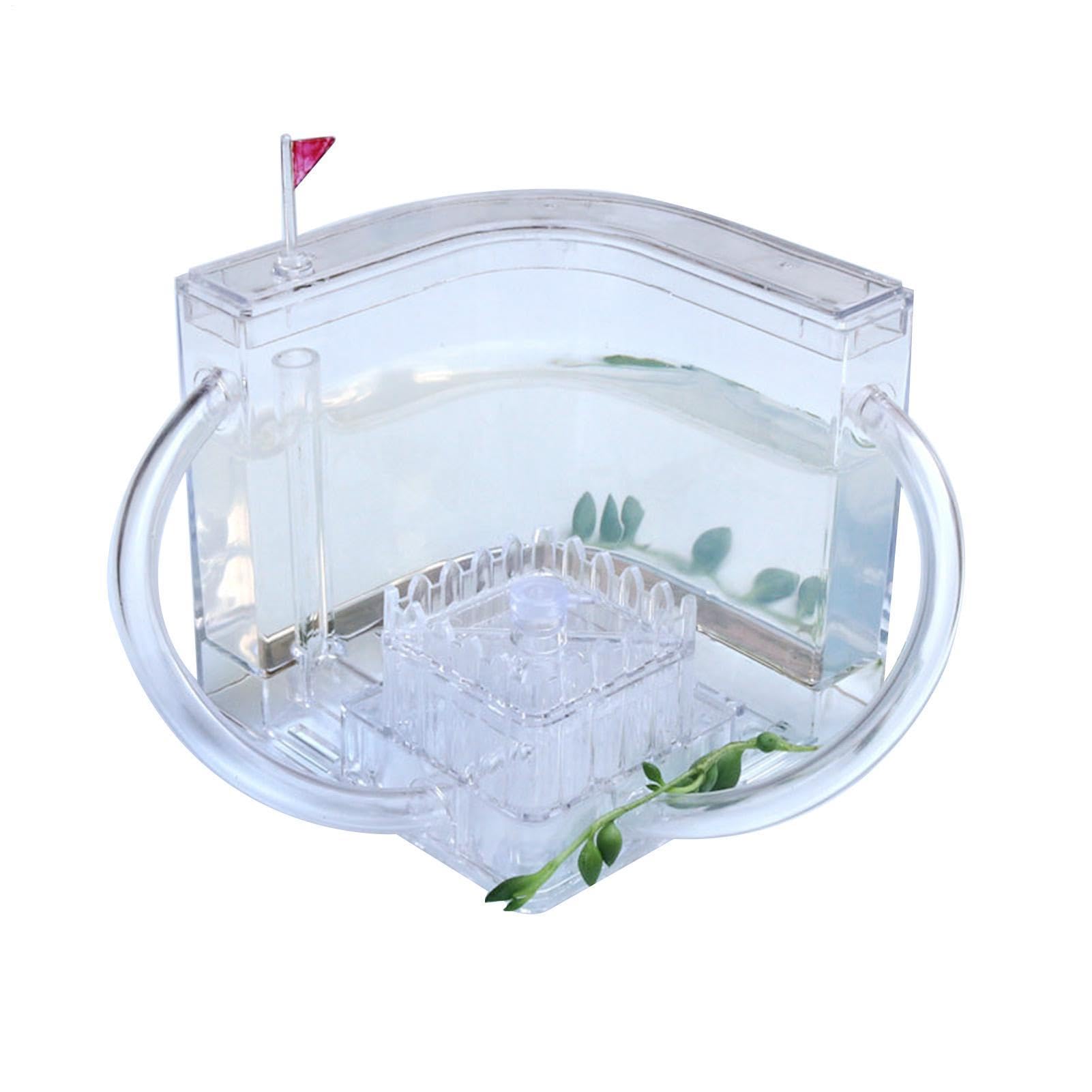 Ant Farm Castle, Translucent Gel Ants House with Connecting Tubes