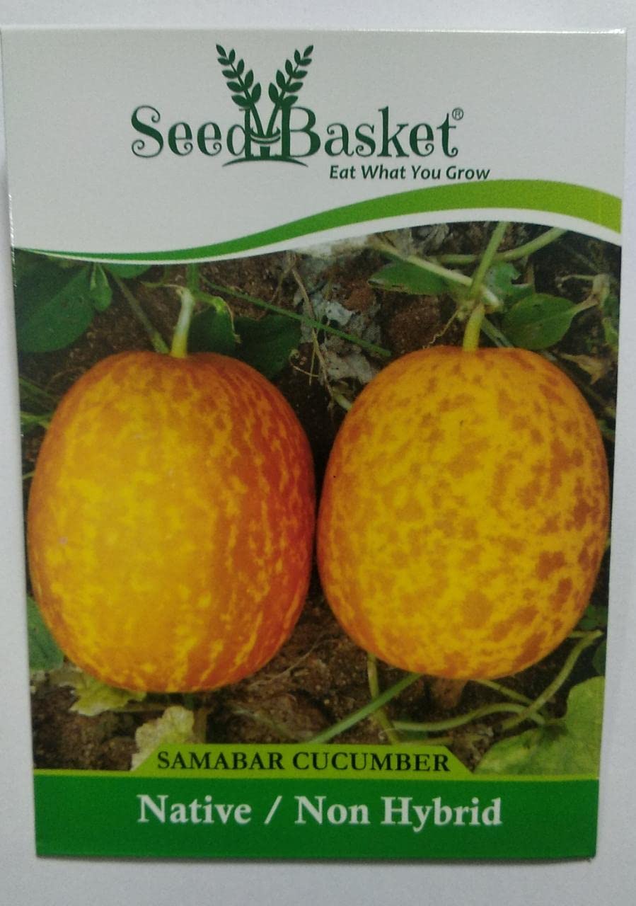 Native/Non-GMO Cucumber Seeds for Gardening (50+ Seeds with More than 70% Germination) And Instruction Manual (Keera Cucumber) (B09YJY7353) Amazon Price History, Amazon Price Tracker