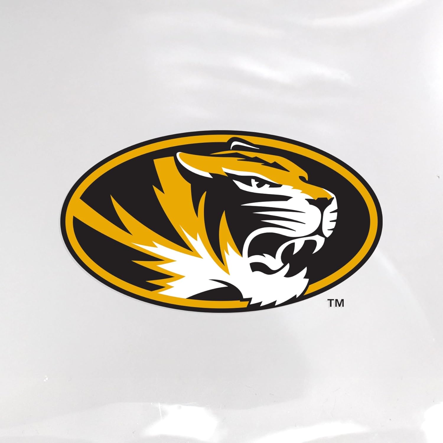 Littlearth NCAA Clear Square Stadium Tote Bag