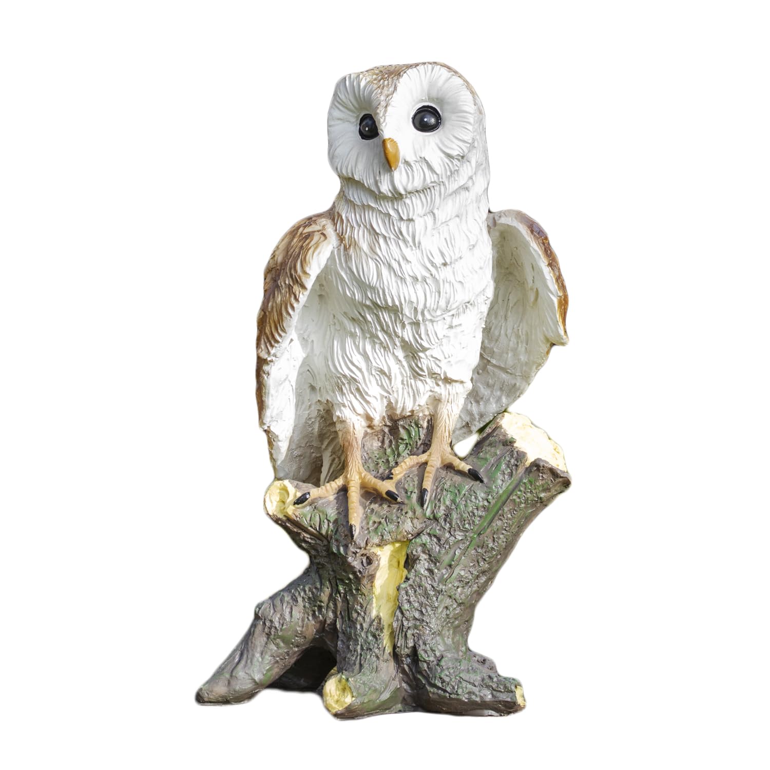 Darthome Barn Owl Garden Ornament, 33cm Resin Wildlife Statue on Wood Perch, Hand Painted Multicoloured, Weatherproof Outdoor Bird Decoration