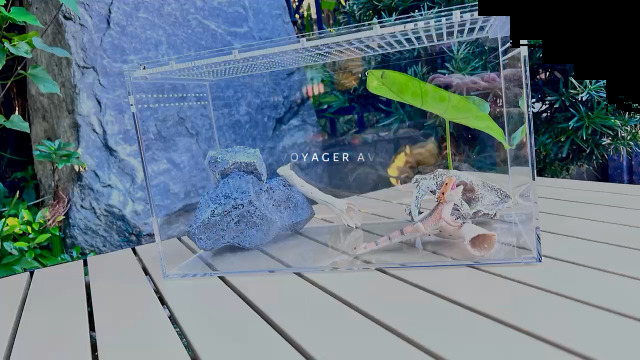tokai in room　ハイゴケ12トレー Amazon.com : KAKOOTI Reptile Terrarium,6.8