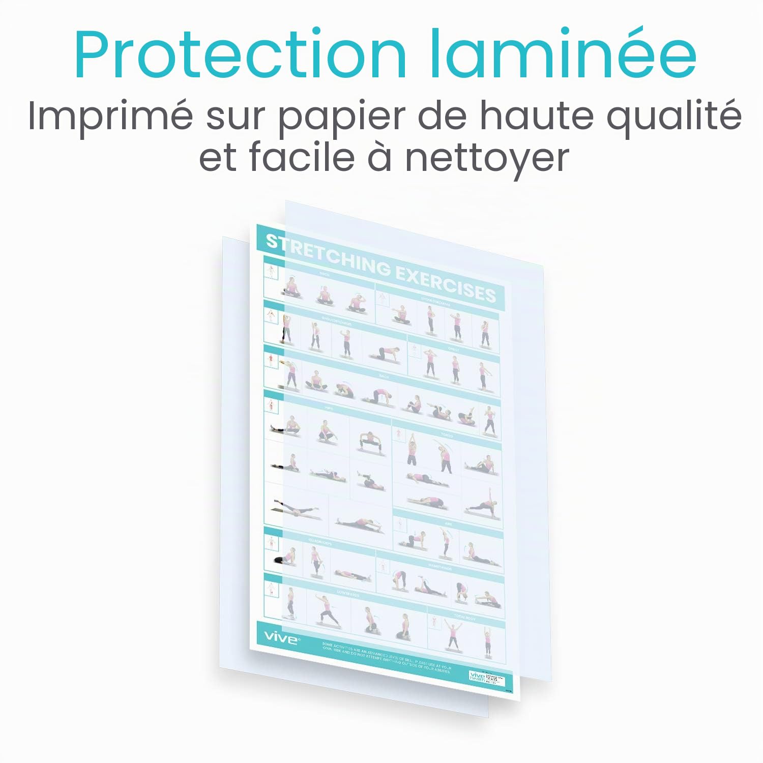 Vive Poster d'exercices d'étirement – Entraînement extensible pour la rééducation, la gym, la maison – Guide d'instructions de base pour le fitness et le poids du corps – 52 exercices pré-postérieurs