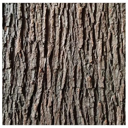 IBOWZ Decorazione di Corteccia, Pannello di Corteccia Impermeabile Realistico – Design scenico e Decorazione Essenziale