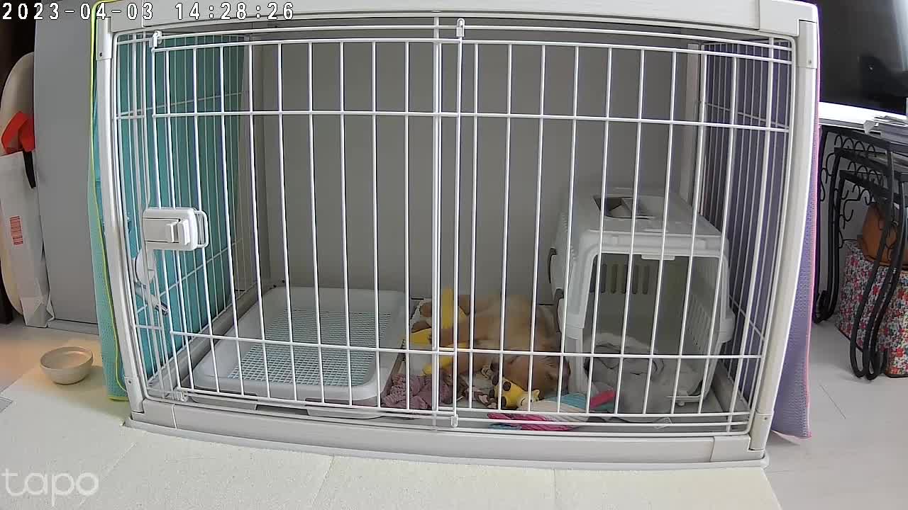 映像綺麗です