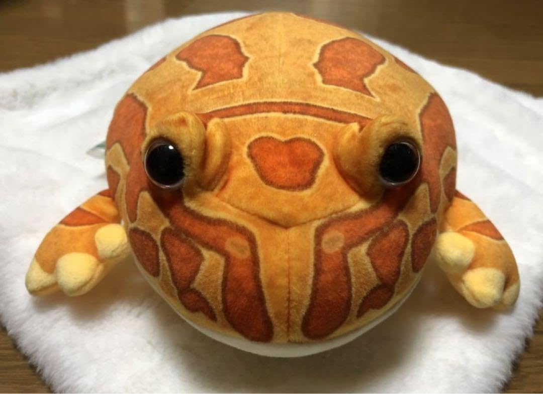 Amazon.co.jp: ツノガエル ぬいぐるみ カエル アプリコット オレンジ
