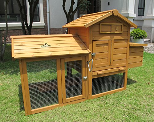 Pets Imperial® Clarence Kleiner Hühnerstall - Schiebetablett & integrierter Hühnerauslauf - Hühnerhaus mit 2 Nistplätzen – Bild 3