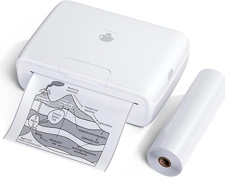 Phomemo M04S Portable Printer