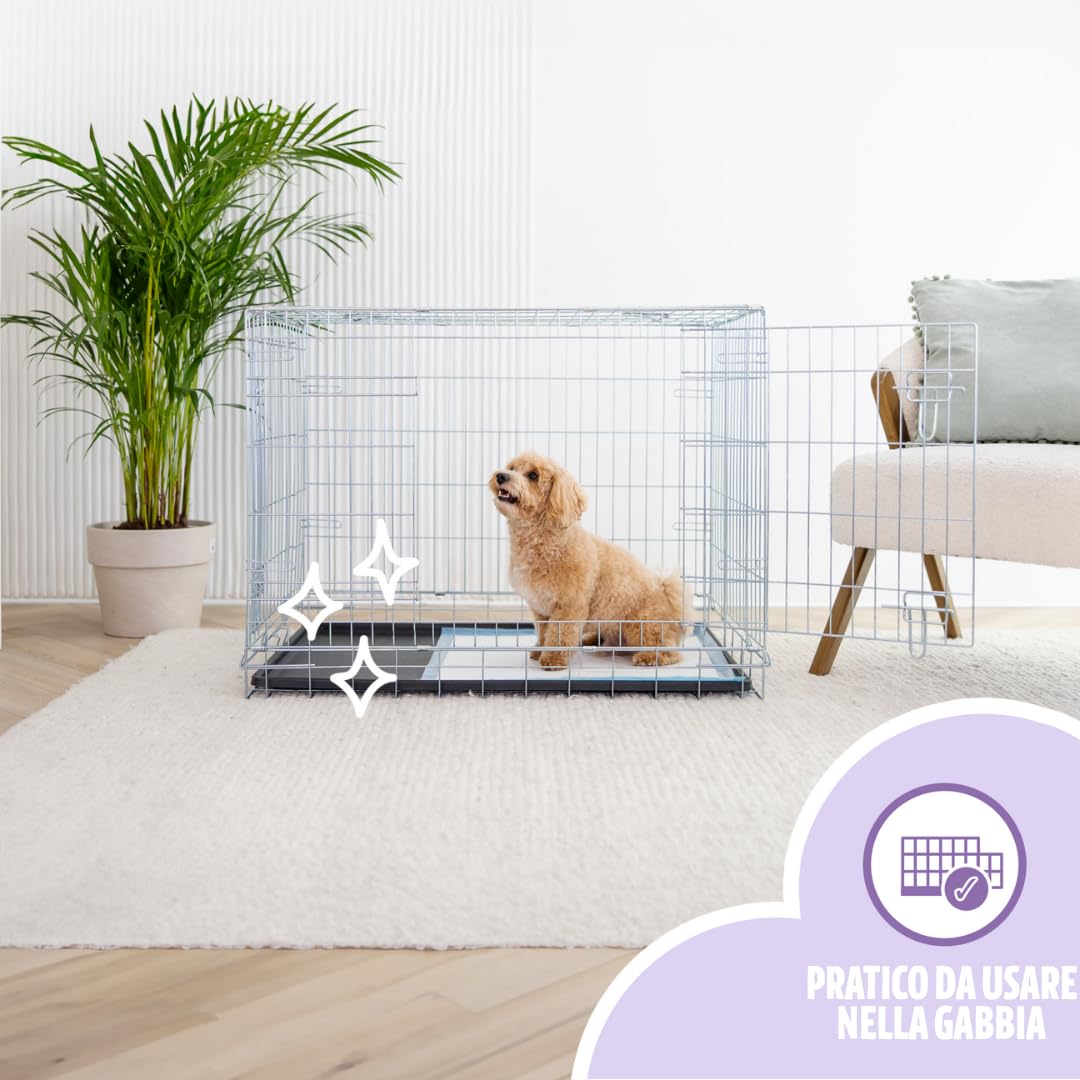 Tappetini per l'addestramento di cani e cuccioli 250 Pezzi – Super Assorbenti, Antifuga, Asciugatura Rapida – massimo controllo degli odori - 58x58cm