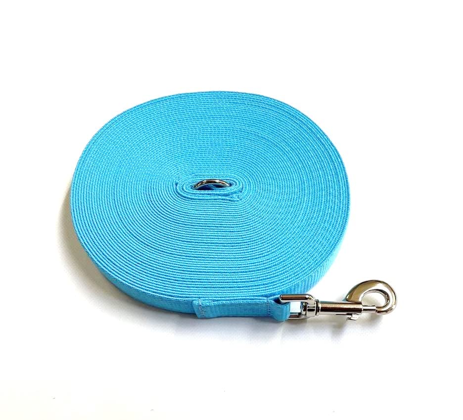 Dog Training Lead 30ft 9 Metre Leash Horse Lunge Line Tracking Recall Obedience In 25mm Polypropylene Webbing (Sky Blue)