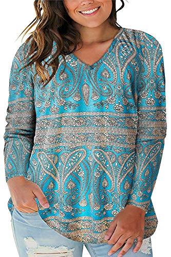 Women's Plus Size Floral Tops Casual Plain T Shirts Basic V Neck Tee Tops 22W