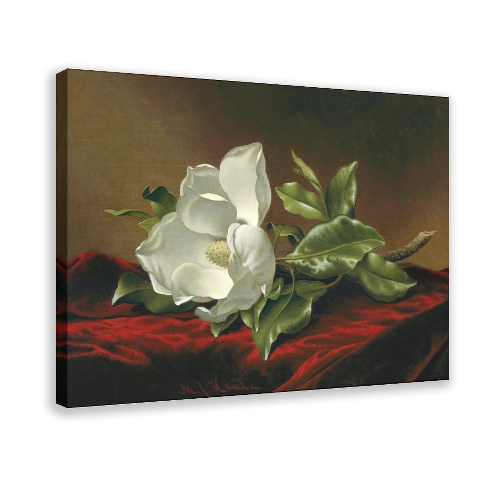 DFJyjFGJJ Martin Johnson Heade,Magnolia Grandiflora Poster Print for Teen Boys Room Wall Art Canvas Painting 16" L X 24" W