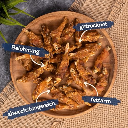 Lyra Pet® 1 kg Wrap mit Hühnerfleisch und Fisch | Geschmackvoller Kausnack | Belohnungs- und Trainingssnack | Proteinreiches Leckerli für alle Hunde | Fettarmes Hundefutter | Wiederverschließbar