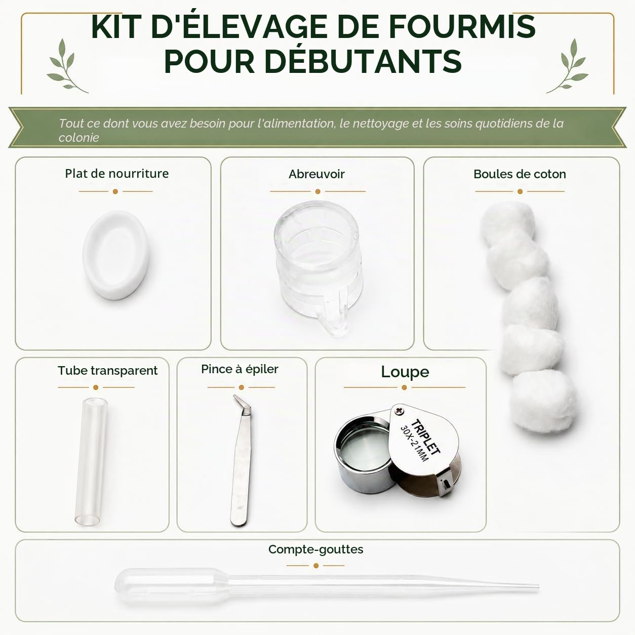 Formicarium Kit Éducatif Habitat de Ferme pour Fourmis Vivantes Reines