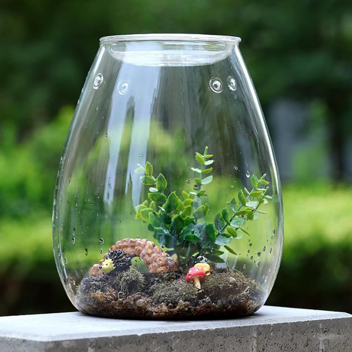 OSALADI Terrarium Glasflasche Ökologische Pflanzflasche Mikrolandschaft Selbstgemacht Behälter für Moos Pflanzen Wohndeko Wohnzimmer Büro