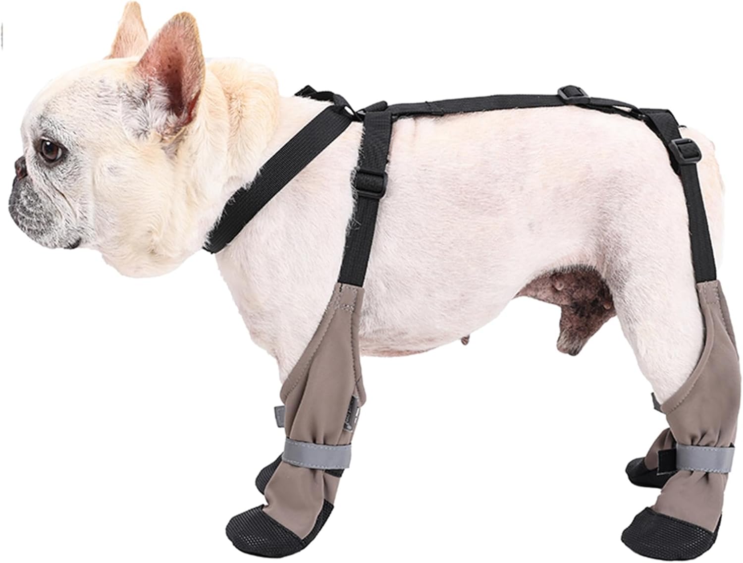 MeiAOBest Dog Boot, XL, Waterproof, Anti-Slip, Paw Protector, Walking, Hiking, Traveling, Camping, Cold & Wet Weather Protection, Injury Recovery, Fabric, Strap 8 61J+B5k2sYL. AC SL1500