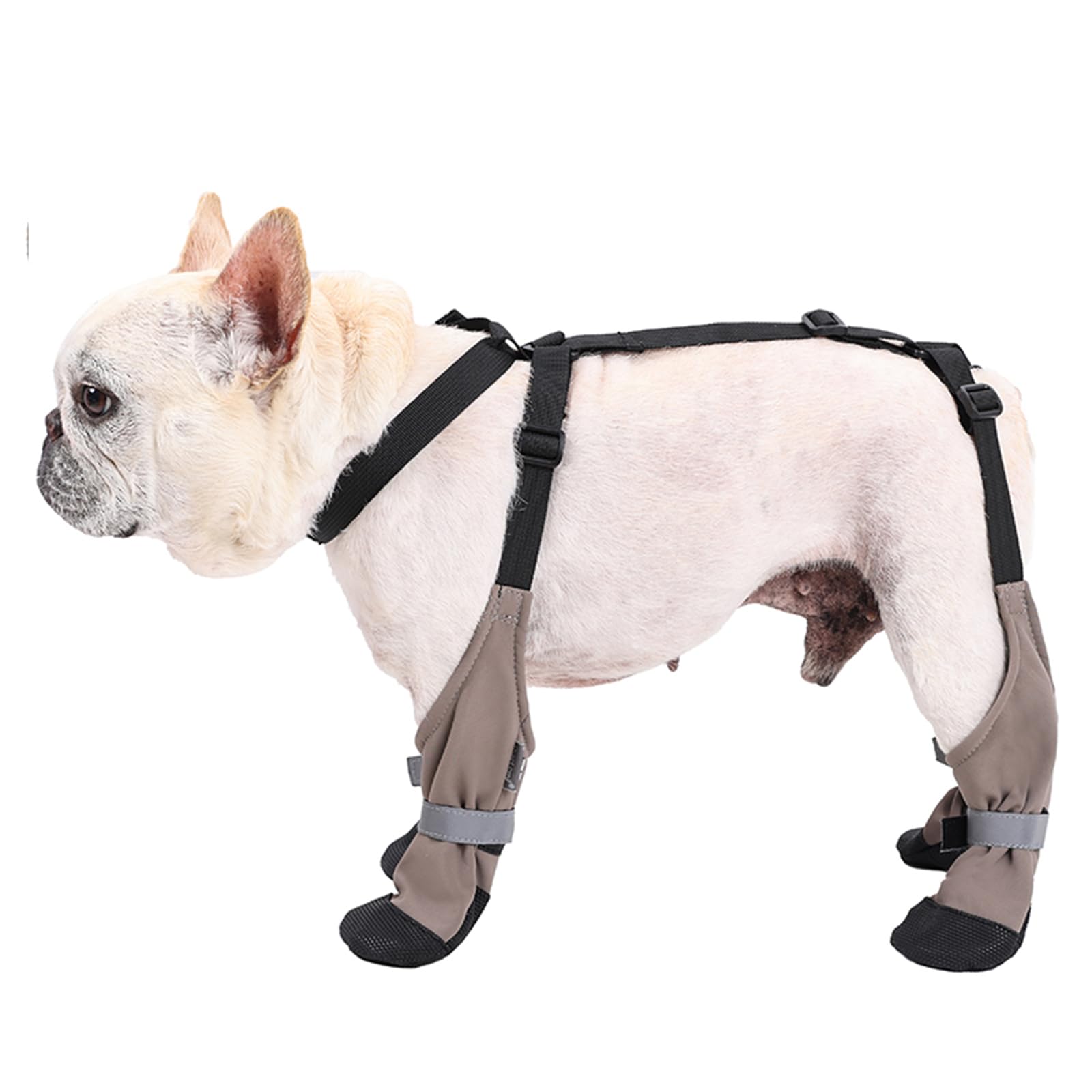 BT Bear Dog Shoes,Waterproof Anti Dirty Anti Slip Warm Dogs Four Leg Pants Boots Dog Paw Protector for Small Dogs Medium Dogs Outdoor Walking Hiking Bootie,M - Image 2