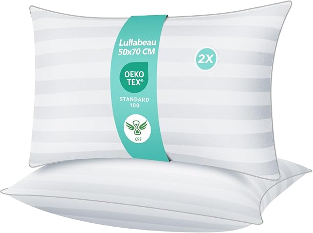 Cuscini 50x70 cm Set di 2, Cuscini Letto, Cuscini del Divano, Cuscini standard, Qualità Hotel di Lusso,Traspiranti e Delicati Sulla Pelle, Lavabili