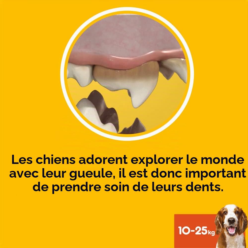 PEDIGREE DENTASTIX Sticks Dentaires pour Moyen Chien 10-25kg - 56 Bâtonnets à Mâcher (Lot de 8 Sachets de 7 Friandises) - Hygiène Bucco-dentaire, Scientifiquement Prouvé, Nettoyage Dents au Quotidien