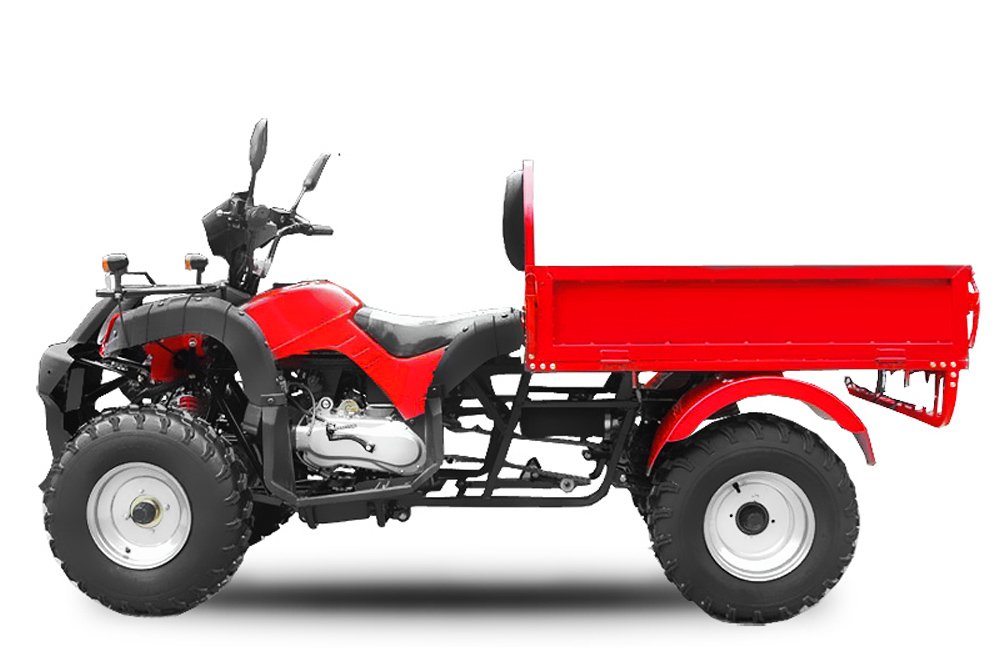 Quad 200cc Jinling DUMPER automatique + ma