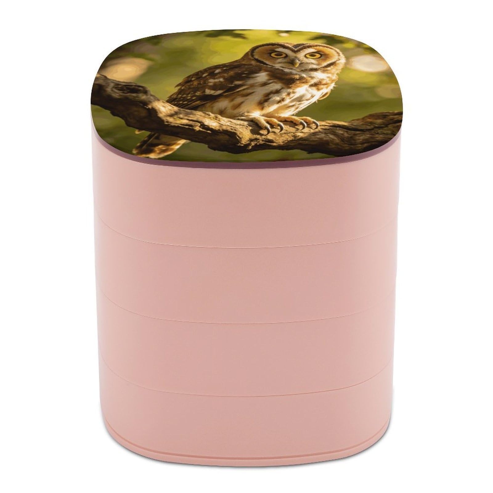 LZQPOEAS Owl Jewelry Box Women Jewelry Organizer Travel Jewelry Case Cute Necklace Ring Storage Organizer 4-Layer Rotating Jewelry Tray Case with Mirror for Bracelets
