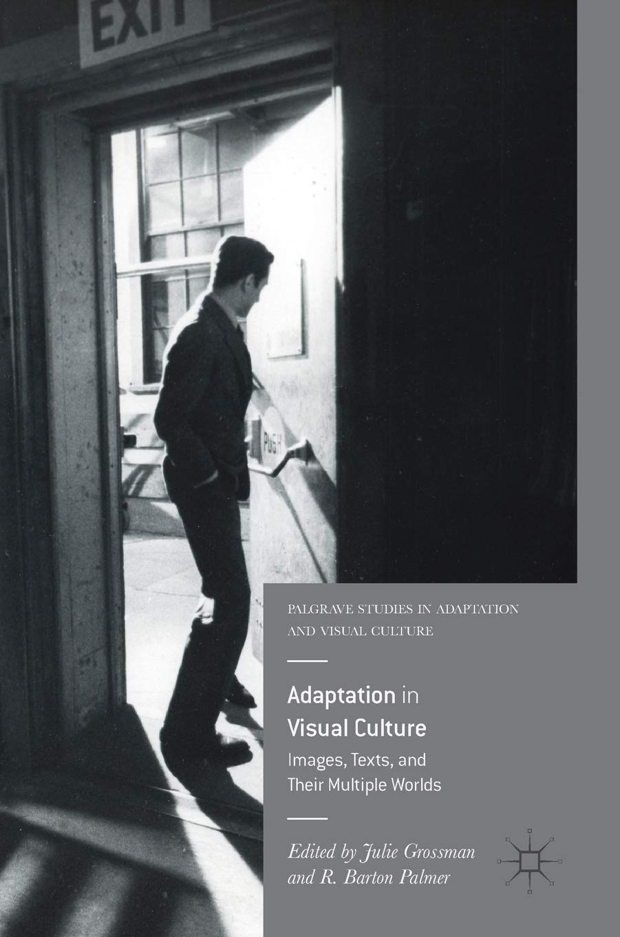 Adaptation in Visual Culture le livre idéal pour enrichir vos recherches en sciences humaines