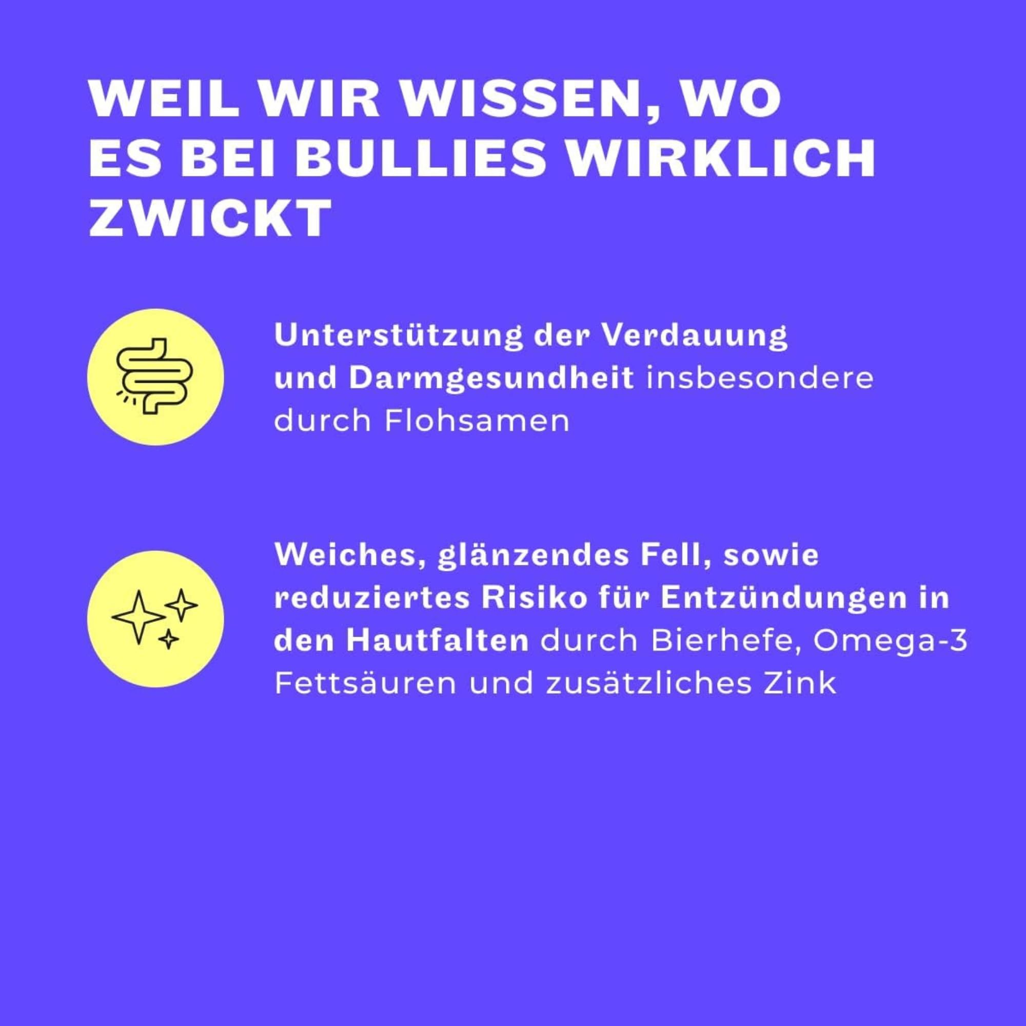 HEY HOLY Premium Nassfutter für Bulldoggen | 6X 750g Hundefutter für ausgewachsene Bulldoggen mit Lachs | Hochverträglich aus natürlichen Zutaten